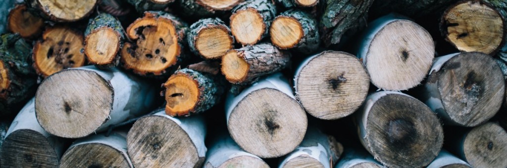 הרצאות למנהלים