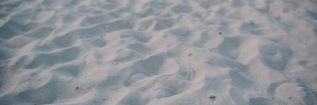 הרצאה למנהלים, יניב זייד